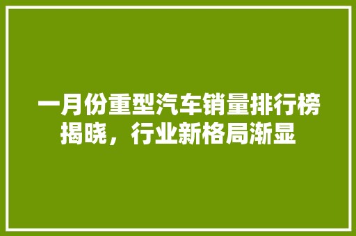 一月份重型汽车销量排行榜揭晓，行业新格局渐显