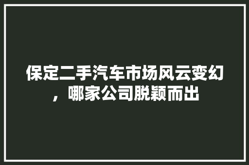 保定二手汽车市场风云变幻，哪家公司脱颖而出