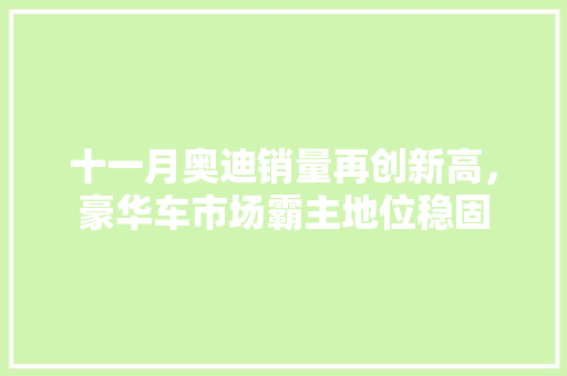 十一月奥迪销量再创新高，豪华车市场霸主地位稳固