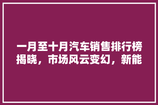一月至十月汽车销售排行榜揭晓，市场风云变幻，新能源汽车异军突起