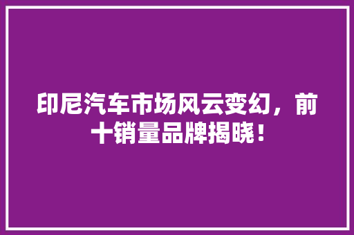 印尼汽车市场风云变幻，前十销量品牌揭晓！