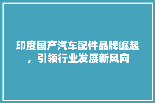 印度国产汽车配件品牌崛起，引领行业发展新风向
