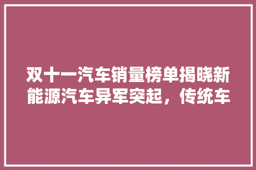 双十一汽车销量榜单揭晓新能源汽车异军突起，传统车企稳居前列