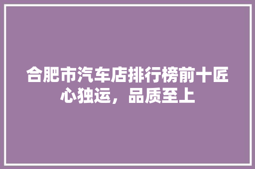 合肥市汽车店排行榜前十匠心独运，品质至上