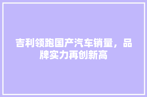 吉利领跑国产汽车销量，品牌实力再创新高
