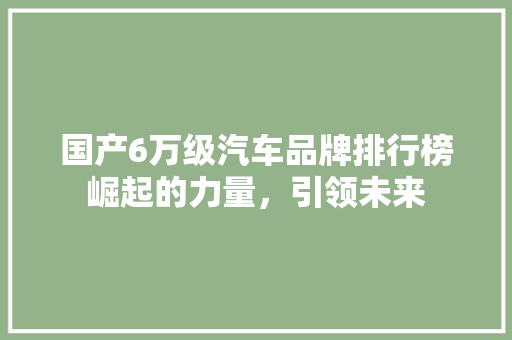 国产6万级汽车品牌排行榜崛起的力量，引领未来