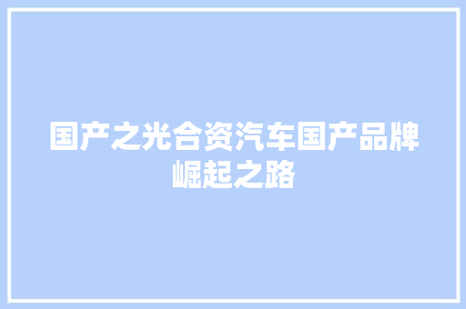 国产之光合资汽车国产品牌崛起之路