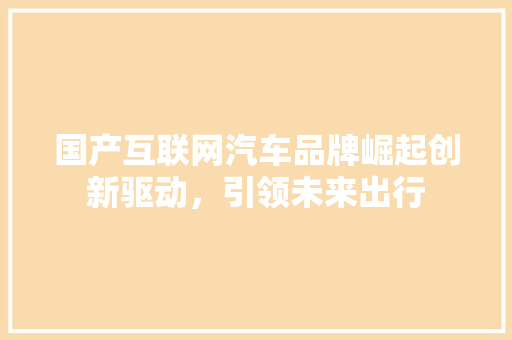 国产互联网汽车品牌崛起创新驱动，引领未来出行