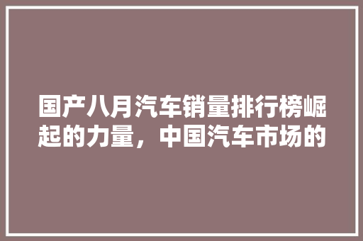 国产八月汽车销量排行榜崛起的力量，中国汽车市场的骄傲