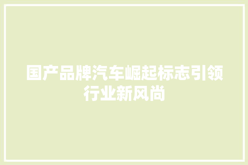 国产品牌汽车崛起标志引领行业新风尚