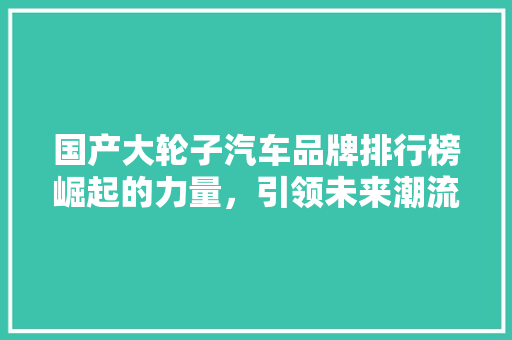 国产大轮子汽车品牌排行榜崛起的力量，引领未来潮流