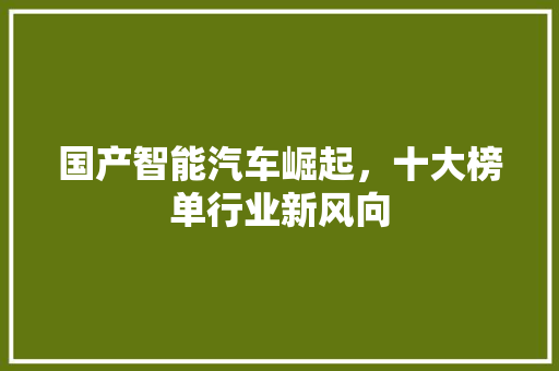 国产智能汽车崛起，十大榜单行业新风向