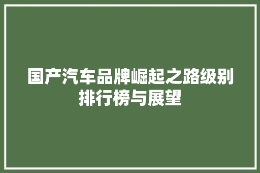 国产汽车品牌崛起之路级别排行榜与展望
