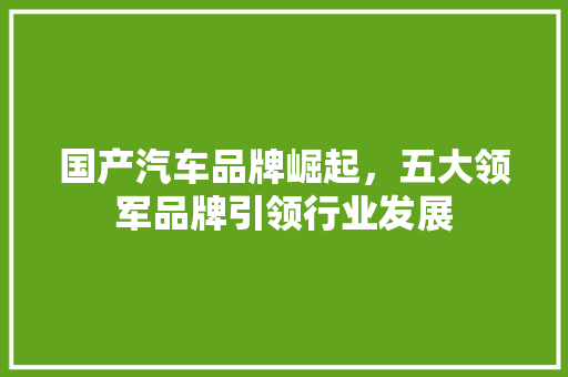 国产汽车品牌崛起，五大领军品牌引领行业发展