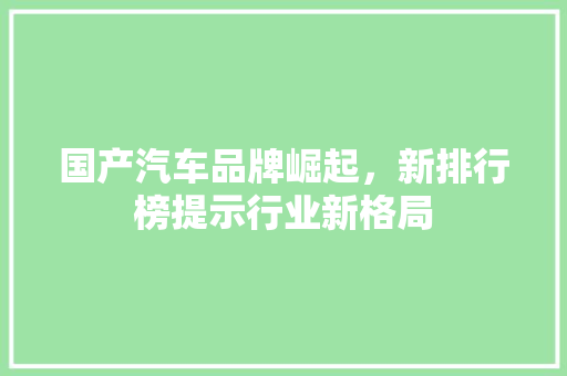 国产汽车品牌崛起，新排行榜提示行业新格局