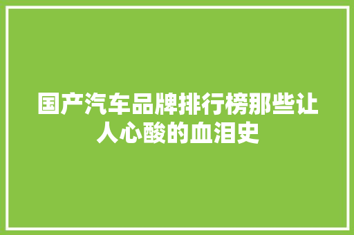 国产汽车品牌排行榜那些让人心酸的血泪史