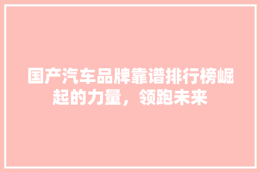 国产汽车品牌靠谱排行榜崛起的力量，领跑未来