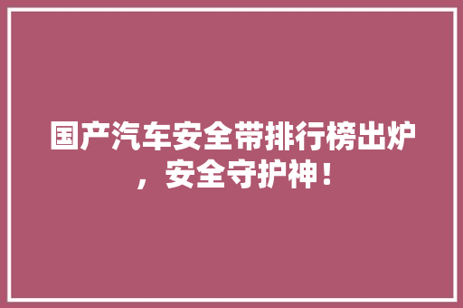 国产汽车安全带排行榜出炉，安全守护神！