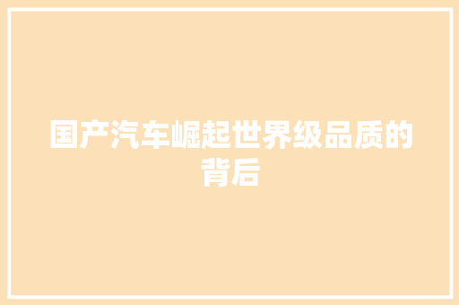 国产汽车崛起世界级品质的背后