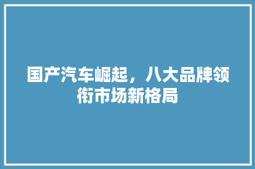 国产汽车崛起，八大品牌领衔市场新格局