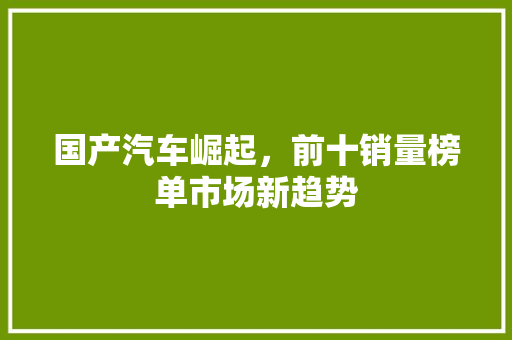 国产汽车崛起，前十销量榜单市场新趋势