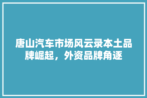 唐山汽车市场风云录本土品牌崛起，外资品牌角逐