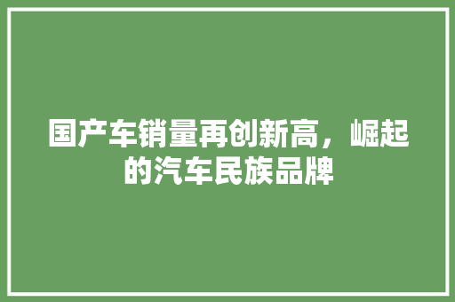 国产车销量再创新高，崛起的汽车民族品牌