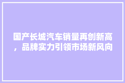 国产长城汽车销量再创新高，品牌实力引领市场新风向