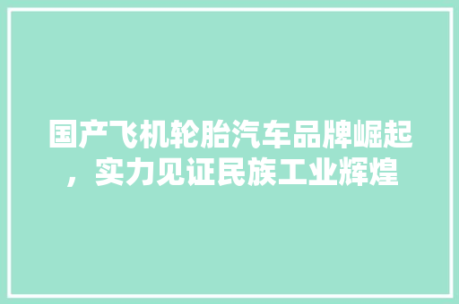 国产飞机轮胎汽车品牌崛起，实力见证民族工业辉煌