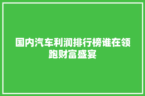 国内汽车利润排行榜谁在领跑财富盛宴