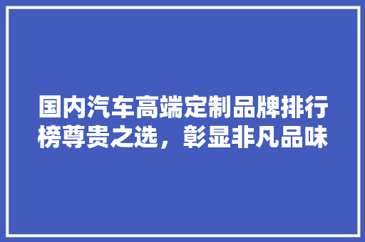 国内汽车高端定制品牌排行榜尊贵之选，彰显非凡品味