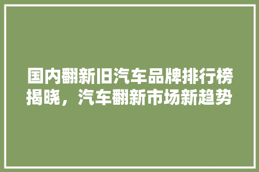国内翻新旧汽车品牌排行榜揭晓，汽车翻新市场新趋势