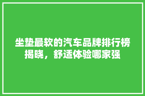 坐垫最软的汽车品牌排行榜揭晓，舒适体验哪家强