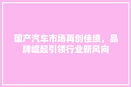 国产汽车市场再创佳绩，品牌崛起引领行业新风向
