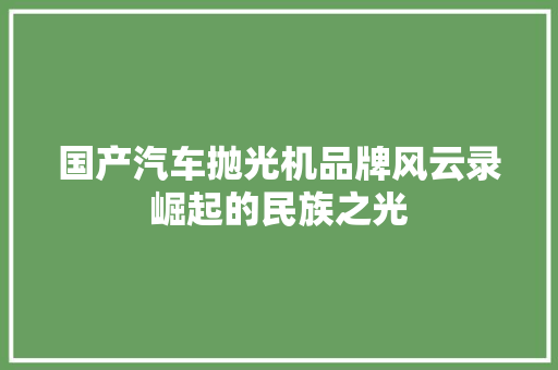 国产汽车抛光机品牌风云录崛起的民族之光
