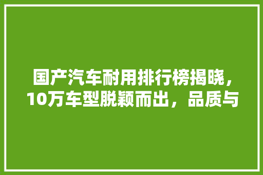 国产汽车耐用排行榜揭晓，10万车型脱颖而出，品质与能并存