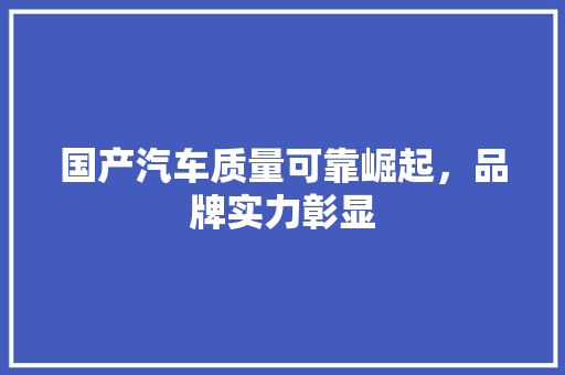 国产汽车质量可靠崛起，品牌实力彰显