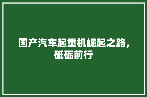 国产汽车起重机崛起之路，砥砺前行