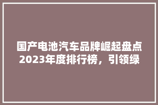 国产电池汽车品牌崛起盘点2023年度排行榜，引领绿色出行新潮流