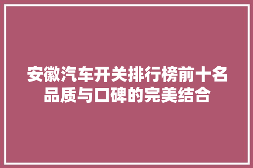安徽汽车开关排行榜前十名品质与口碑的完美结合