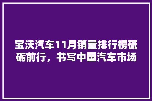 宝沃汽车11月销量排行榜砥砺前行，书写中国汽车市场新篇章
