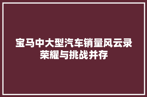 宝马中大型汽车销量风云录荣耀与挑战并存