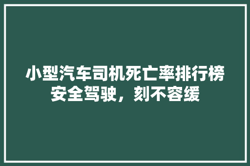 小型汽车司机死亡率排行榜安全驾驶，刻不容缓