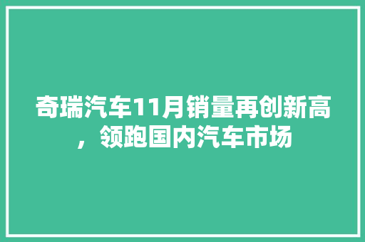 奇瑞汽车11月销量再创新高，领跑国内汽车市场