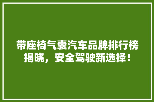 带座椅气囊汽车品牌排行榜揭晓，安全驾驶新选择！