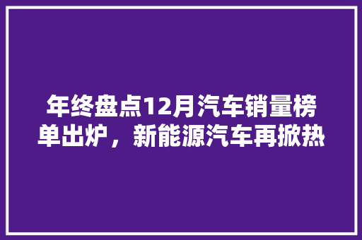 年终盘点12月汽车销量榜单出炉，新能源汽车再掀热潮