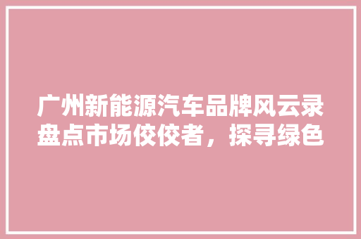 广州新能源汽车品牌风云录盘点市场佼佼者，探寻绿色出行新篇章