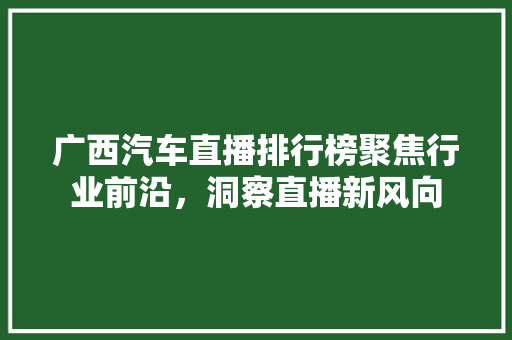 广西汽车直播排行榜聚焦行业前沿，洞察直播新风向