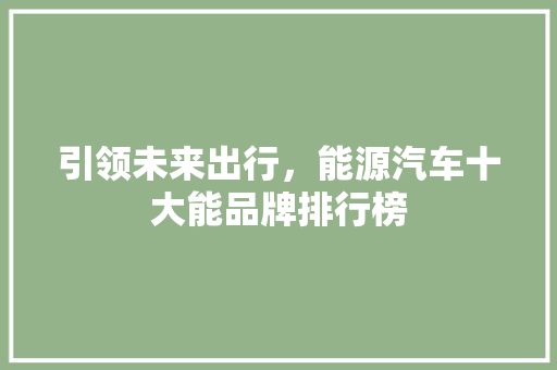 引领未来出行，能源汽车十大能品牌排行榜