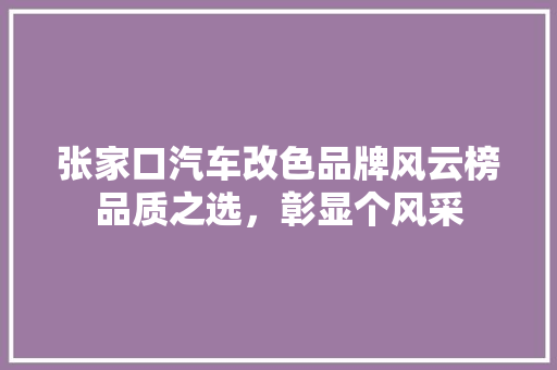张家口汽车改色品牌风云榜品质之选，彰显个风采